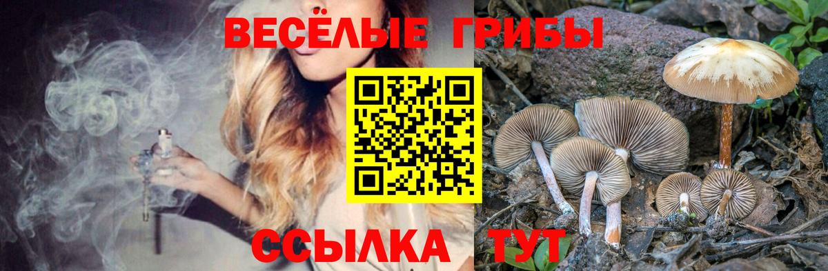 Хасавюрт  Галлюциногенные грибы MAGIC MUSHROOMS  Вход с VPN  Галлюциногенные грибы Magic Shrooms 
